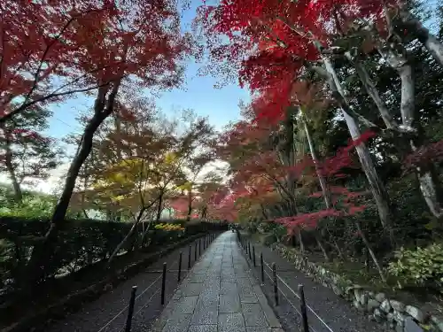 光明寺（粟生光明寺）(京都府)
