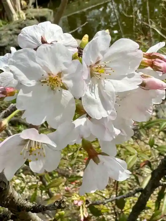 欣浄寺(京都府)
