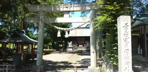 胸形神社の鳥居