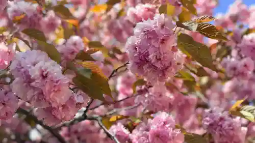 石崎地主海神社(北海道)