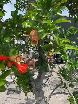 妙禅寺(愛知県)