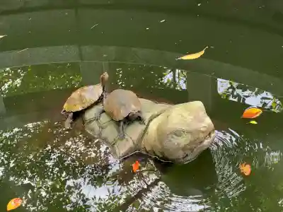 丹後一ノ宮 元伊勢 籠神社の{uncategorized: "未分類", other: "その他", undefined: "問題あり", building: "その他建物", grave: "お墓", sacred_gate: "鳥居", guardian: "狛犬", statue: "像", buddha: "仏像", history: "歴史", nature: "自然", garden: "庭園", animal: "動物", pagoda: "塔", temizu: "手水舎", mountain_gate: "山門・神門", sanctuary: "本殿・本堂", subordinate: "末社・摂社", art: "芸術", scenery: "景色", jizo: "地蔵", ema: "絵馬", goshuin: "御朱印", omikuji: "おみくじ", items: "授与品その他", amulet: "お守り", goshuincho: "御朱印帳", eats: "食事", festival: "お祭り", votive_dance: "神楽", shichigosan: "七五三参", wedding: "結婚式", experience: "体験その他", initially: "初詣", around: "周辺", anti_infection: "感染症対策"}