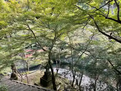 西明寺(京都府)