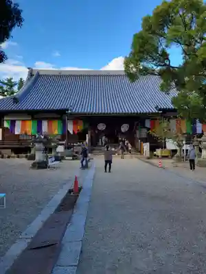 大樹寺（松安院大樹寺）(愛知県)