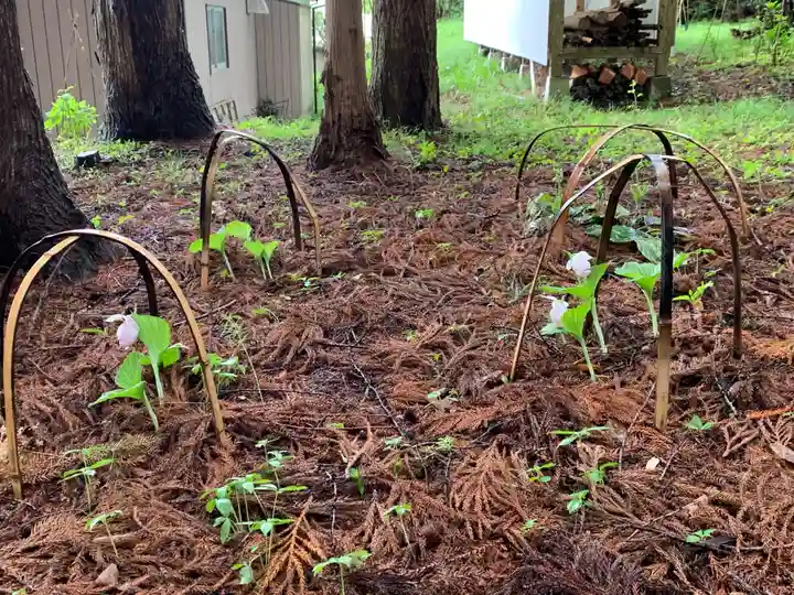明石神社の周辺