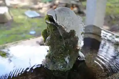 神炊館神社 ⁂奥州須賀川総鎮守⁂の手水舎