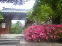 大巧寺の山門・神門