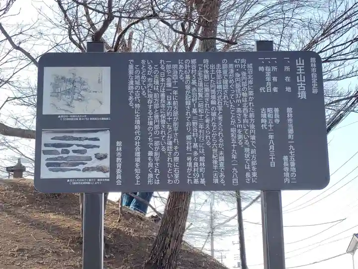 山王山古墳(群馬県)