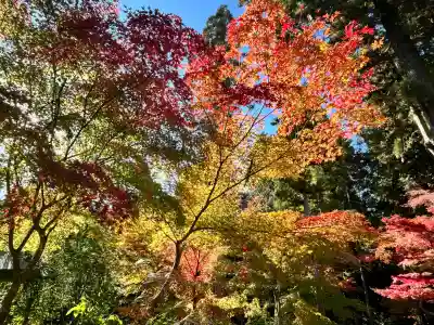 白山神社(滋賀県)