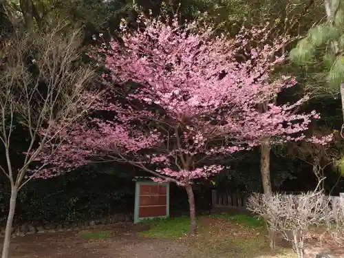 靜岡縣護國神社の自然