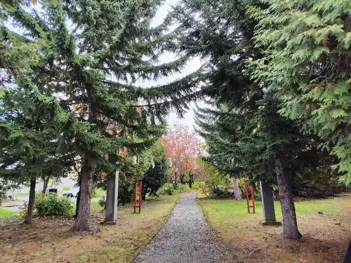美瑛神社の自然