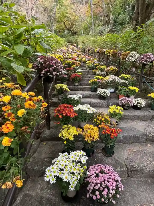 長谷寺(奈良県)