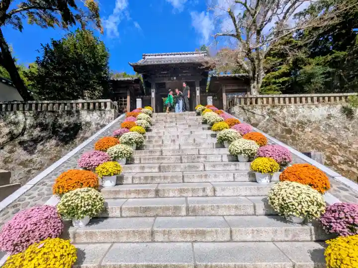 修禅寺の{uncategorized: "未分類", other: "その他", undefined: "問題あり", building: "その他建物", grave: "お墓", sacred_gate: "鳥居", guardian: "狛犬", statue: "像", buddha: "仏像", history: "歴史", nature: "自然", garden: "庭園", animal: "動物", pagoda: "塔", temizu: "手水舎", mountain_gate: "山門・神門", sanctuary: "本殿・本堂", subordinate: "末社・摂社", art: "芸術", scenery: "景色", jizo: "地蔵", ema: "絵馬", goshuin: "御朱印", omikuji: "おみくじ", items: "授与品その他", amulet: "お守り", goshuincho: "御朱印帳", eats: "食事", festival: "お祭り", votive_dance: "神楽", shichigosan: "七五三参", wedding: "結婚式", experience: "体験その他", initially: "初詣", around: "周辺", anti_infection: "感染症対策"}