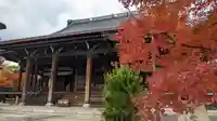妙顯寺(妙顕寺)(京都府)