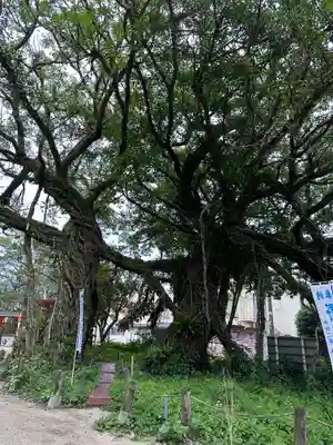 野島神社(宮崎県)
