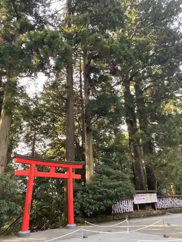 箱根神社の鳥居