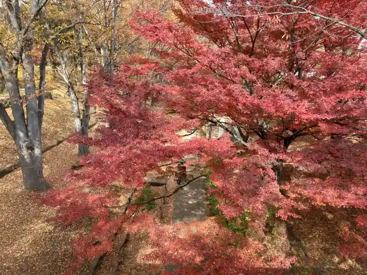 眞田神社の自然