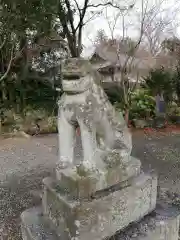 中山神社の狛犬