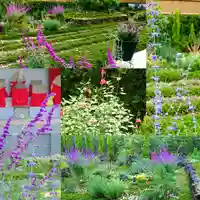 寿量山 速成寺の自然