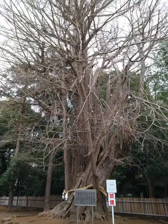 峯ヶ岡八幡神社(埼玉県)