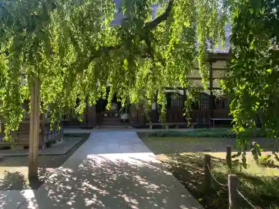 茂林寺(群馬県)