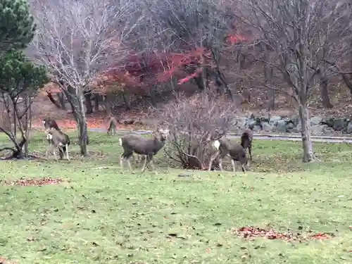 樽前山神社(北海道)
