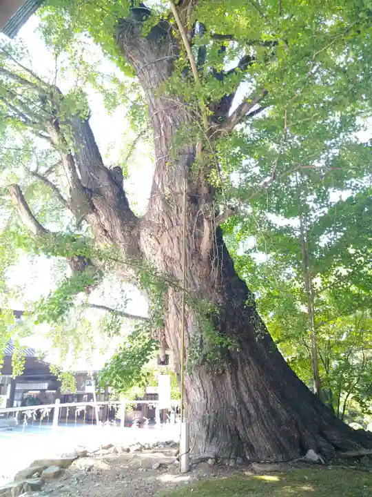 吉備津神社(岡山県)