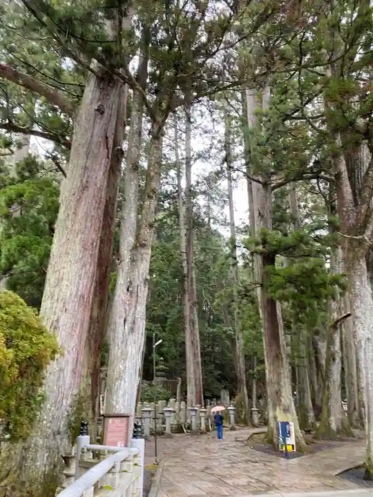 高野山金剛峯寺奥の院(和歌山県)