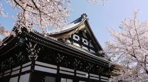 妙顯寺（妙顕寺）の本殿