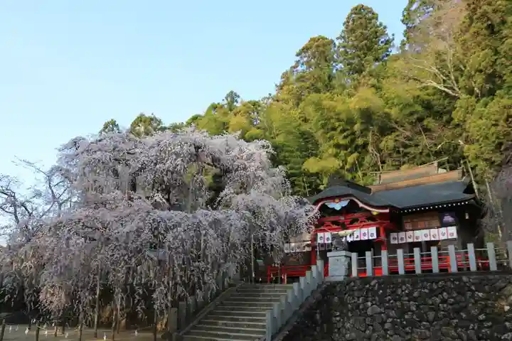 小川諏訪神社の本殿・本堂