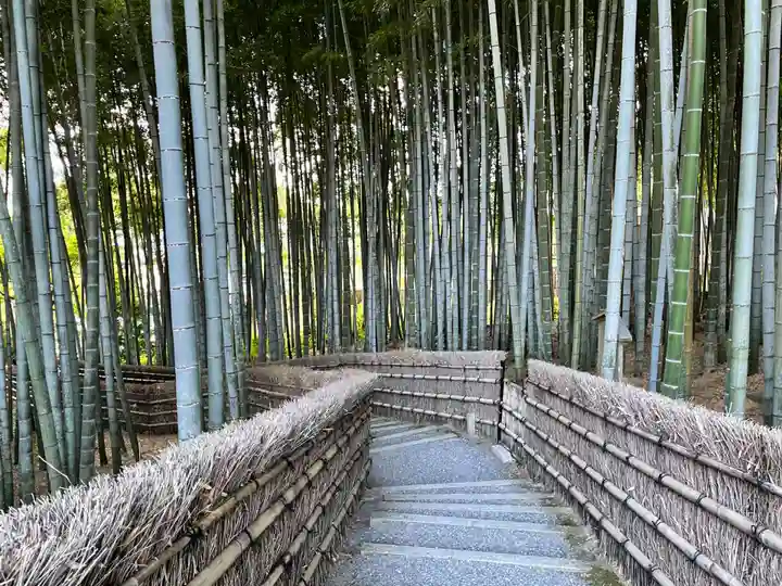 化野念仏寺(京都府)