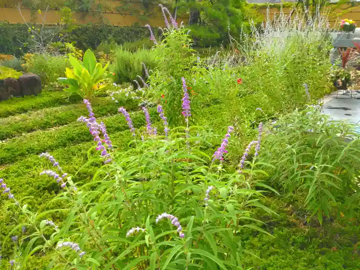 寿量山 速成寺の自然