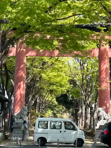 武蔵一宮氷川神社の鳥居