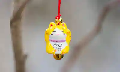 諫早神社（九州総守護  四面宮）(長崎県)