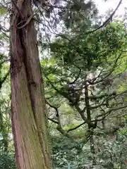 劔之宮王子神社の自然