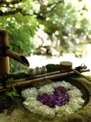 柳谷観音 楊谷寺の手水舎