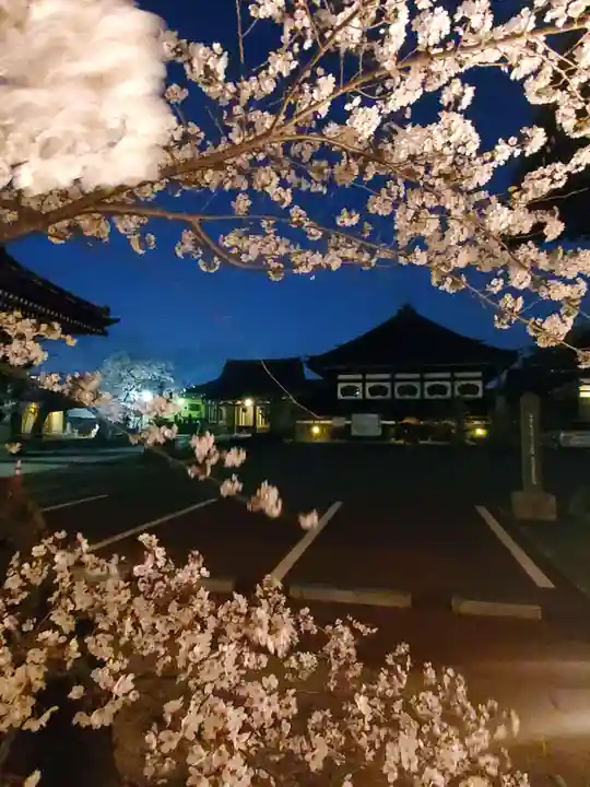 如宝寺(福島県)