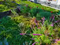 寿量山 速成寺(奈良県)