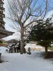 石鳩岡寺(岩手県)