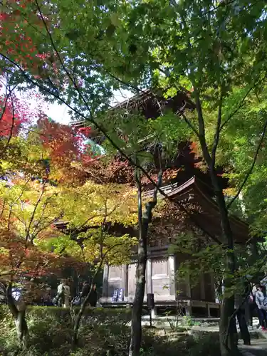 金剛輪寺の建物その他