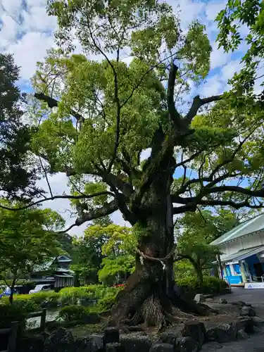 静岡浅間神社の庭園