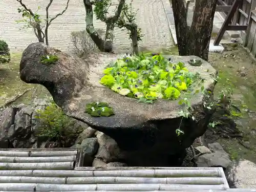 正法寺(京都府)