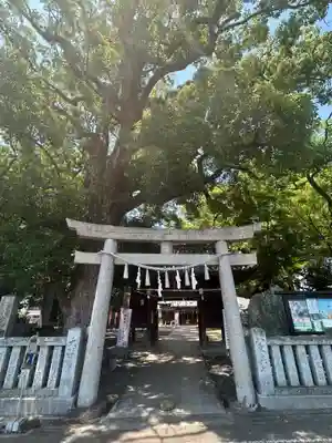 高忍日賣神社(愛媛県)