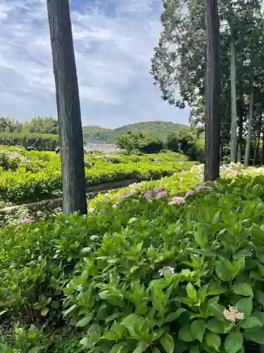 三室戸寺の{uncategorized: "未分類", other: "その他", undefined: "問題あり", building: "その他建物", grave: "お墓", sacred_gate: "鳥居", guardian: "狛犬", statue: "像", buddha: "仏像", history: "歴史", nature: "自然", garden: "庭園", animal: "動物", pagoda: "塔", temizu: "手水舎", mountain_gate: "山門・神門", sanctuary: "本殿・本堂", subordinate: "末社・摂社", art: "芸術", scenery: "景色", jizo: "地蔵", ema: "絵馬", goshuin: "御朱印", omikuji: "おみくじ", items: "授与品その他", amulet: "お守り", goshuincho: "御朱印帳", eats: "食事", festival: "お祭り", votive_dance: "神楽", shichigosan: "七五三参", wedding: "結婚式", experience: "体験その他", initially: "初詣", around: "周辺", anti_infection: "感染症対策"}