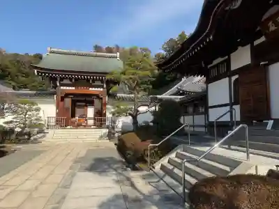 天嶽院の{uncategorized: "未分類", other: "その他", undefined: "問題あり", building: "その他建物", grave: "お墓", sacred_gate: "鳥居", guardian: "狛犬", statue: "像", buddha: "仏像", history: "歴史", nature: "自然", garden: "庭園", animal: "動物", pagoda: "塔", temizu: "手水舎", mountain_gate: "山門・神門", sanctuary: "本殿・本堂", subordinate: "末社・摂社", art: "芸術", scenery: "景色", jizo: "地蔵", ema: "絵馬", goshuin: "御朱印", omikuji: "おみくじ", items: "授与品その他", amulet: "お守り", goshuincho: "御朱印帳", eats: "食事", festival: "お祭り", votive_dance: "神楽", shichigosan: "七五三参", wedding: "結婚式", experience: "体験その他", initially: "初詣", around: "周辺", anti_infection: "感染症対策"}