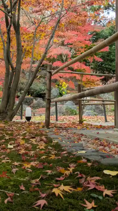 長岡天満宮(京都府)