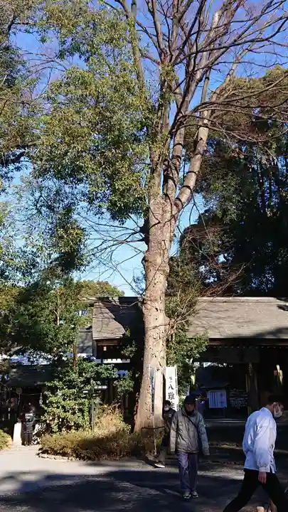 阿佐ヶ谷神明宮のその他建物