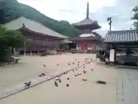 浄土寺の塔