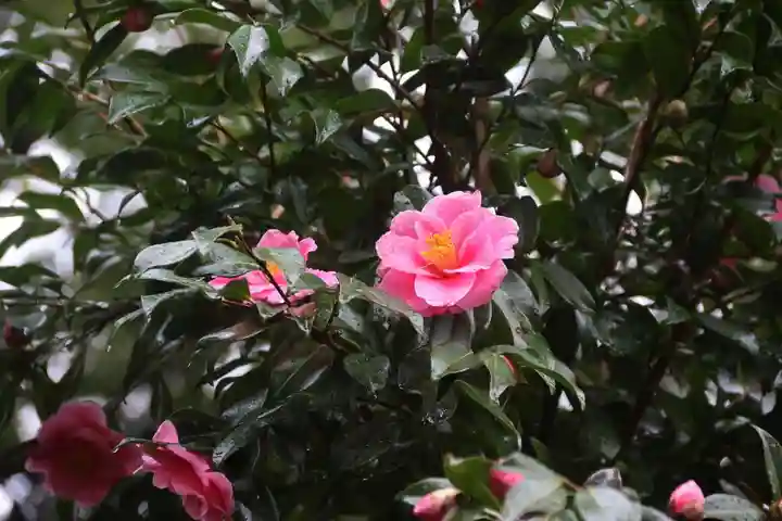 隠津島神社の庭園