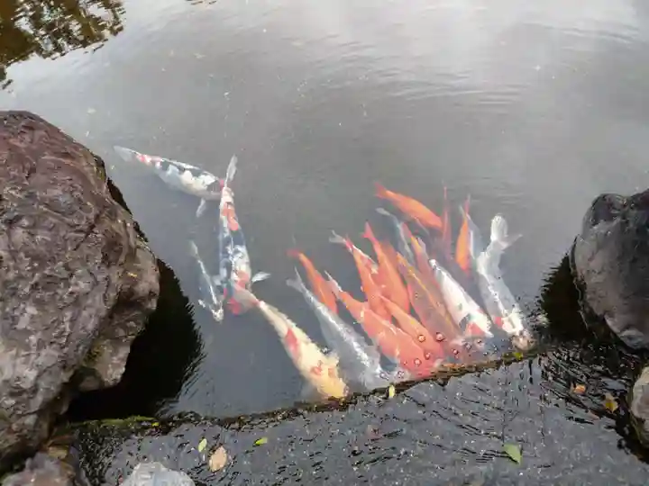 城南宮(京都府)